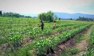 photo_2021-04-04_08-59-51