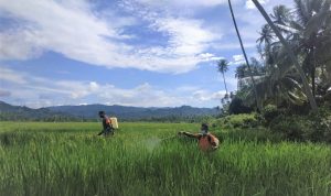 photo_2021-04-05_16-16-56