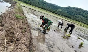 photo_2021-04-07_14-29-37