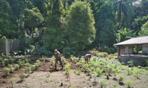 photo_2021-04-09_13-54-56