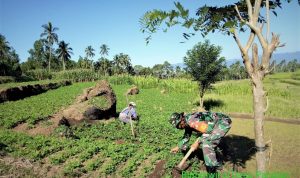photo_2021-04-29_11-41-57