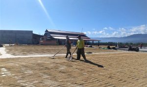 photo_2021-06-03_12-49-44