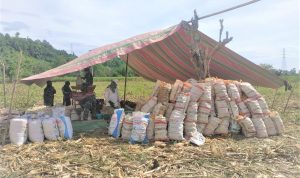 photo_2021-06-08_15-14-02