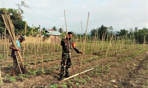 photo_2021-06-25_13-38-30