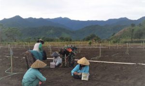 photo_2021-06-28_11-39-25