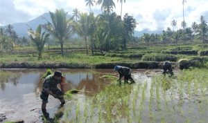 photo_2021-06-29_13-58-23