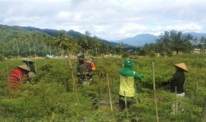 photo_2021-07-13_15-41-58