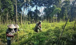 photo_2021-07-29_13-21-49