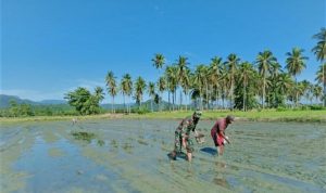 photo_2021-07-30_16-09-39