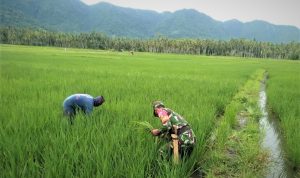 photo_2021-08-03_12-10-01
