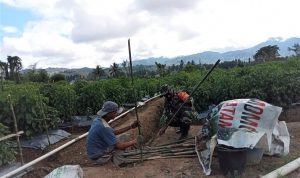 photo_2021-08-03_12-33-47