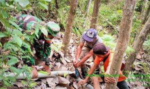 photo_2021-10-15_17-38-19