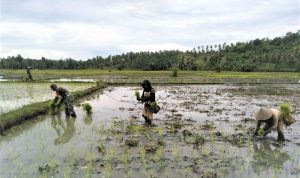 photo_2021-10-25_11-29-43