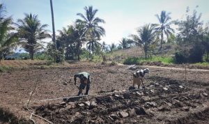 photo_2021-10-25_11-32-43