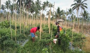 photo_2021-11-01_13-28-19