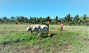 photo_2021-11-03_12-58-28