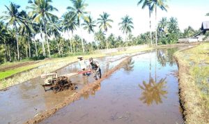 photo_2021-11-22_10-41-12