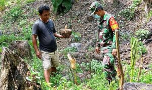 photo_2021-11-22_11-16-20