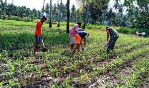 photo_2021-11-23_10-01-25