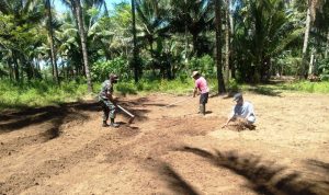 photo_2021-11-23_10-26-22