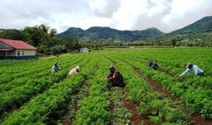 photo_2021-11-29_14-04-07