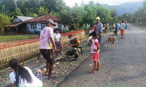 photo_2021-11-29_14-54-42