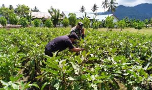 photo_2021-12-03_14-22-33