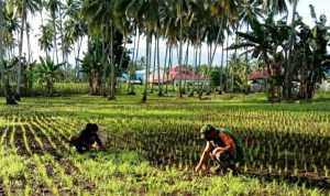 photo_2021-12-03_14-23-05