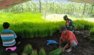 photo_2021-12-17_13-18-50