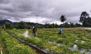 photo_2021-12-22_11-23-58