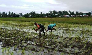 photo_2022-01-03_12-15-41