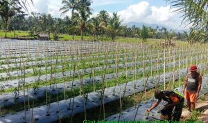 photo_2022-01-27_13-30-29