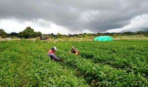 photo_2022-01-28_10-22-28