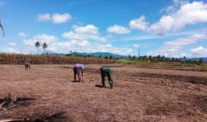 photo_2022-01-31_12-12-04