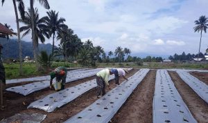 photo_2022-02-21_11-01-24