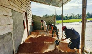 photo_2022-03-01_08-45-13