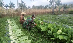 photo_2022-03-08_10-15-28