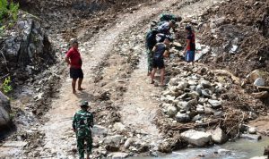 photo_2022-05-14_17-49-22