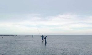 photo_2022-05-29_20-01-19