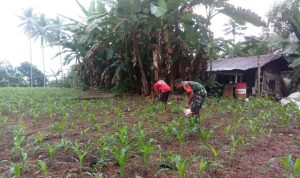 photo_2022-07-12_11-36-52