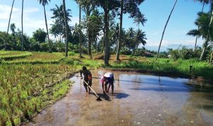 photo_2022-10-19_13-27-38