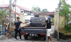 photo_2022-10-30_16-07-34