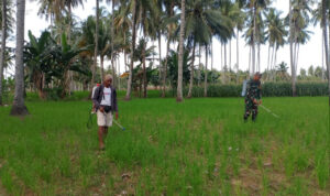 WhatsApp Image 2026-01-01 at 11.23.30