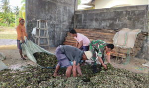 WhatsApp Image 2026-01-05 at 09.39.37