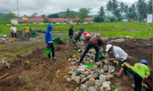 WhatsApp Image 2026-01-07 at 11.37.48