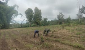 WhatsApp Image 2026-01-10 at 10.06.48