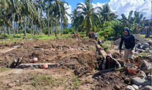 WhatsApp Image 2026-01-10 at 10.07.30