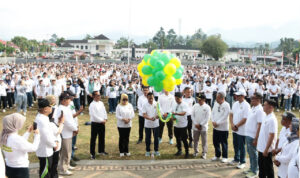 WhatsApp Image 2026-01-12 at 11.41.01