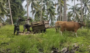 WhatsApp Image 2026-01-22 at 11.18.45