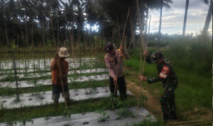 WhatsApp Image 2026-01-22 at 11.19.01